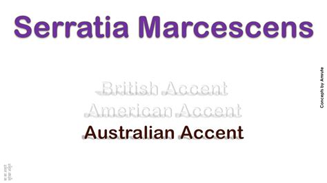 serratia marcescens pronunciation|How To Pronounce Serratia Marcescens .